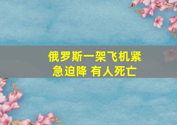 俄罗斯一架飞机紧急迫降 有人死亡